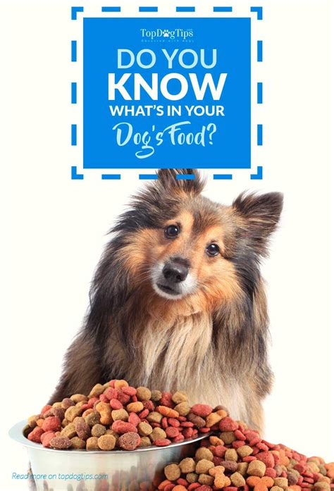 Is this a shadow of things to come? Understanding Dog Food: Do You Know What's In Your Dog's ...