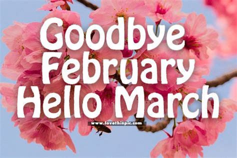 Goodbye February Hello March Pictures Photos And Images For Facebook