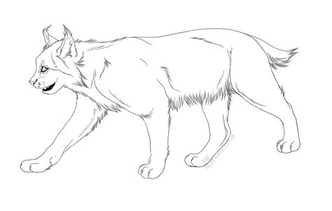 Free Use Lynx Lineart By Kalenka On Deviantart