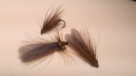 Stonefly Dry Fly Dreamers