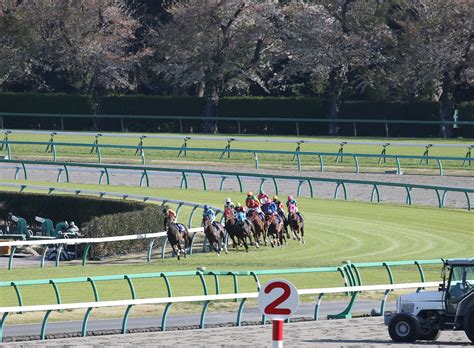 ジパング倶楽部 ジパング倶楽部加入初年度3回まで 大人の休日倶楽部ジパング 大人の休日倶楽部ミドル おとなび 四国エンジョイクラブ. オジュウチョウサン史上初の4連覇 中山グランドジャンプ | Moment ...