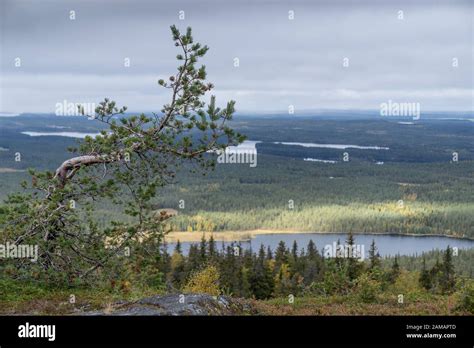 Mountains Forests Lakes View In Autumn Fall Colors Ruska Time In