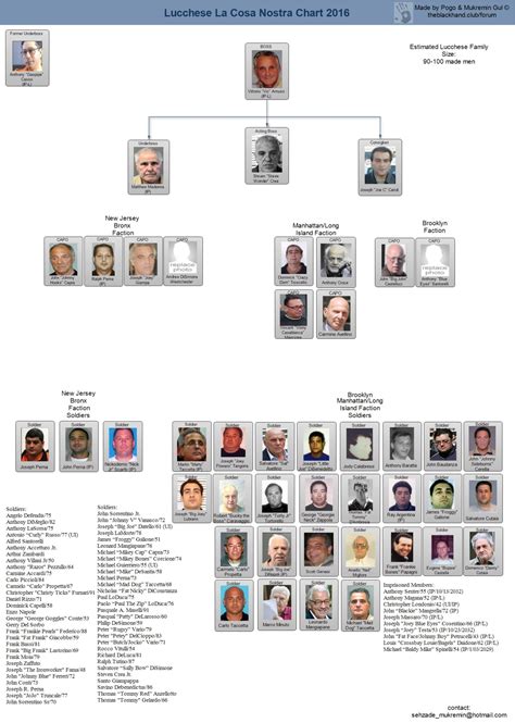 American Cosa nostra [Plataforma]