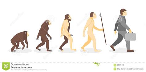 Stage Of Human Evolution From Monkey To Businessman Vector Stock