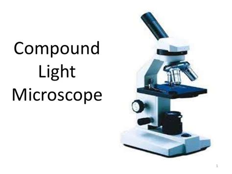 One difference between magnifying glasses and compound light microscopes is that magnifying glasses have one lens while compound also, compound light microscopes require light sources. compound microscope (basic)