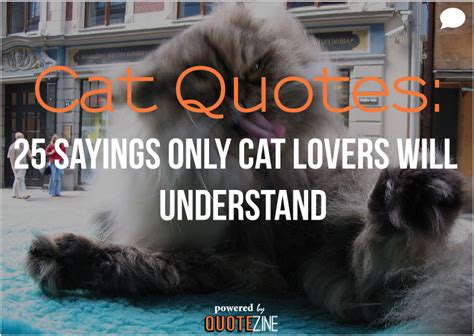 Best Cat Quotes Quotesgram