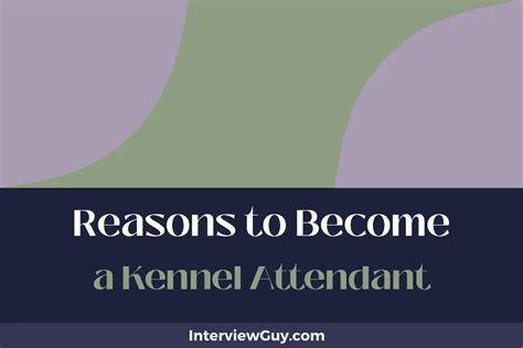 25 Reasons to Become a Kennel Attendant (Make Tails Wag)