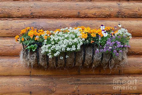Bright, fresh flowers make a thoughtful gift for any type of occasion. Log Cabin Flower Planter Photograph by Catherine Sherman