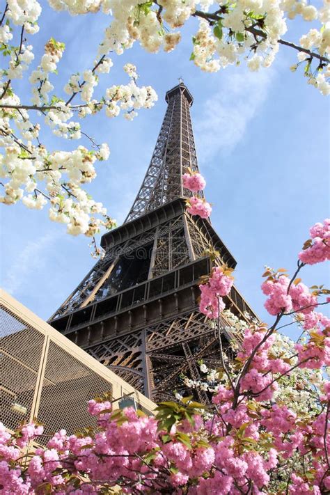 Spring In Paris Eiffel Tower Stock Image Image Of Spring Tulip 2547057