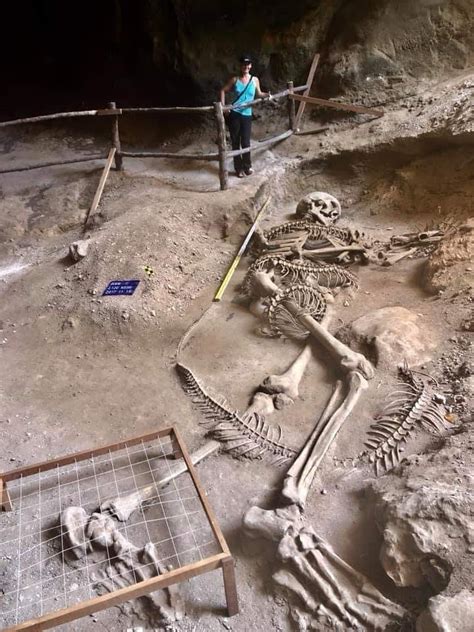 Уникальная находка гигантского скелета в Таиланде Гиганта — убитого рогатой змеей Telegraph
