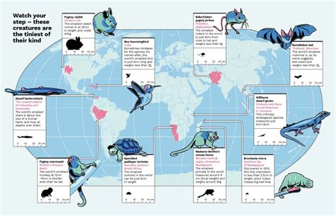 Wild Maps A Nature Atlas For Curious Minds Nhbs Good Reads