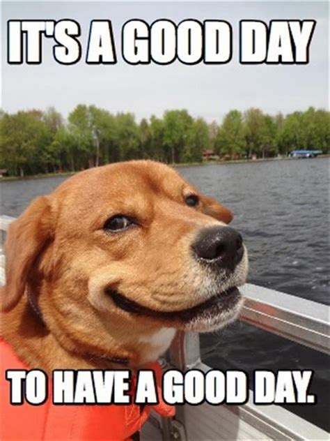 101 Have A Great Day Memes To Wish Someone Special A Good Day Good Day Meme Funny Saturday