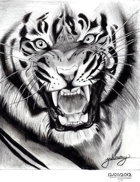 Pin By Fontella Farrar On Animals Tiger Drawing Tiger
