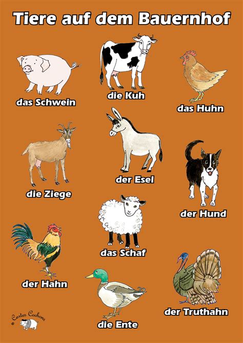 German Farm Animals