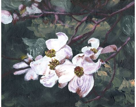 Dogwood Acrylic Painting Of Dogwood Tree Blossoms By Liz Almlie