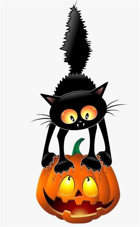 A Black Cat Sitting On Top Of A Jack O Lantern With Glowing Eyes
