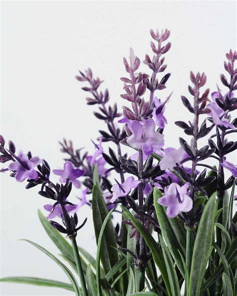 14 Heads Reality Lavender Silk Flower In Paper Pulp Pot Silk Flowers