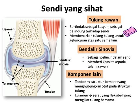 Akibat sakit lutut yang amat sangat, pesakit biasanya bergantung kepada ubat tahan sakit. TIPS TIP MENAWAN: Tips Menghilangkan Sakit Lutut dan Sendi ...