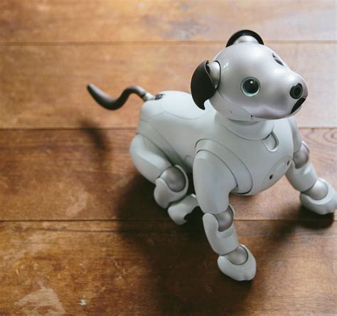 This Sony Aibo Is A Cute Intelligent Dog Robot Pet