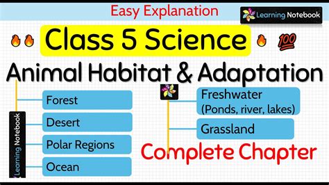 Class 5 Science Animal Habitat And Adaptation Complete Chapter Youtube