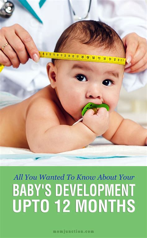 Babys Development Up To 12 Months Parents Should Know Baby