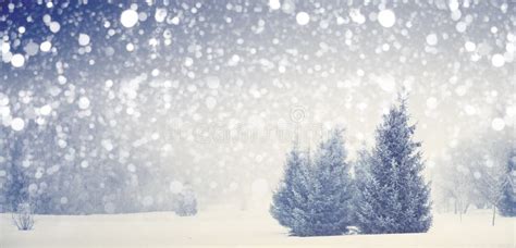 Christmas Background Xmas Blizzard In Park Stock Photo Image Of