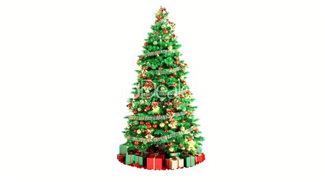Christmas Tree Isolated On White Background Loopable