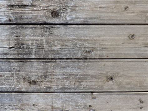 Perfect Natural Gray Wood Texture Stock Photo Image Of Material