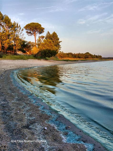 Check spelling or type a new query. Dias tóxicos e mortais na Barragem de Magos em Salvaterra ...