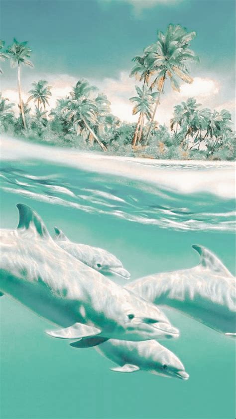 Summer Dolphins Wallpapers Wallpaper Cave