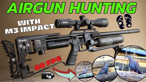 Fx Impact I Airgun Hunting Youtube