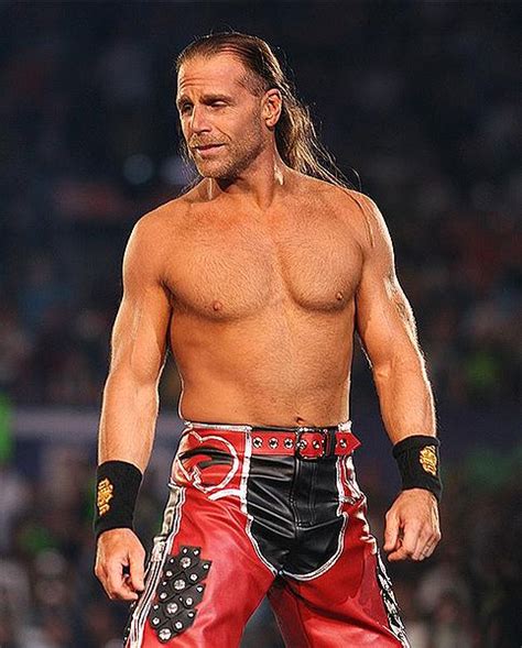 Shawn Michaels Wrestling And Wrestlers