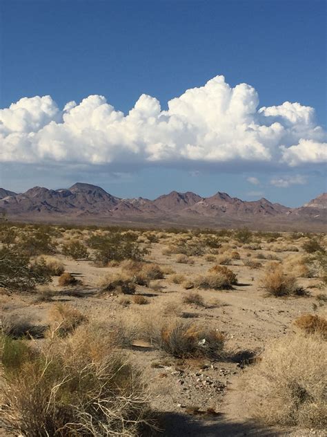 Mojave Desert Desert Aesthetic Desert Photography Landscape Photos