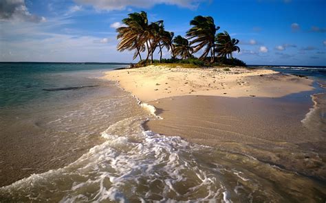 Island Tropical Beach Ocean Palm Trees Hd Wallpaper