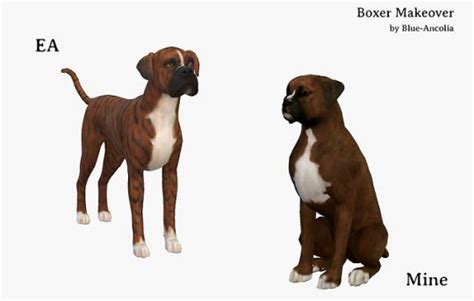 Blue Ancolia Sims Pets Sims 4 Pets Boxer Dog