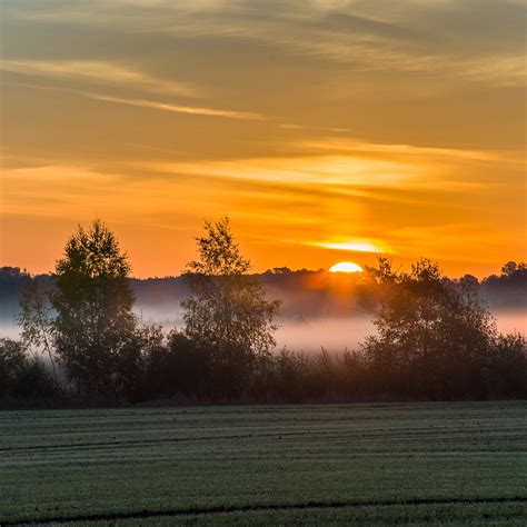 Sunrise In Latvian Countryside Over The Fields A Fog Is Rising As The