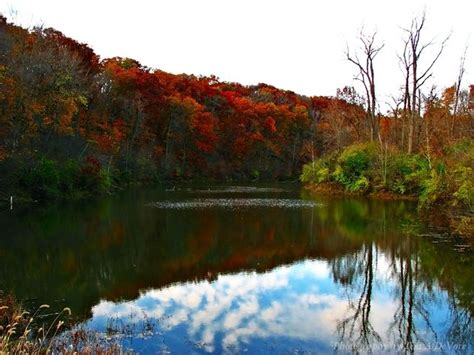 Where To Find Fall Foliage In Illinois Parks Fall Foliage State