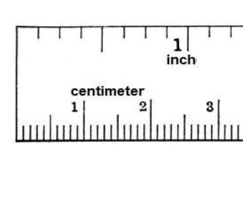 Sample Example And Format Templates Actual Sized Ruler