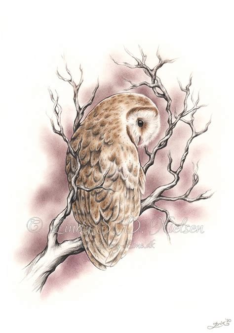 The Branch And The Owl Print Owls Drawing Owl Tattoo Drawings Snow