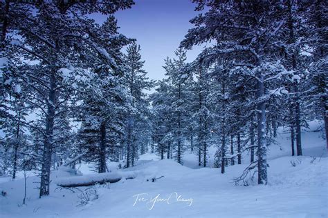 Finnish Lapland Wilderness Tse Yin Chang Photography