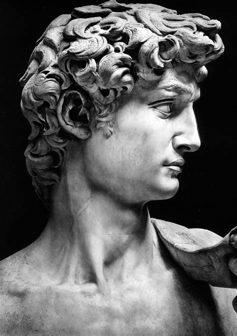 Michelangelo David Pinacoteca Di Brera