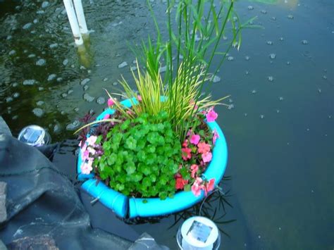 floating pond planter! | Ponds backyard, Pond plants, Pond