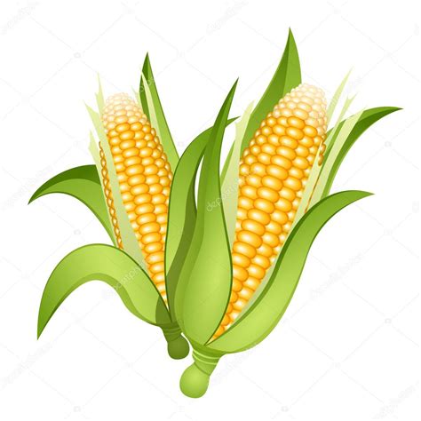 Ear Of Corn Clip Art