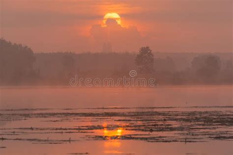 Morning Nature Scene Sky Clouds And Fog Mist On The Lake Stock Photo