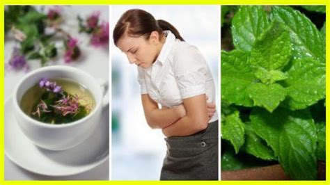 Relieve Irritable Bowel Syndrome Symptoms With These 5 Healing Herbs Youtube