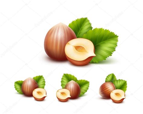 Vector Set Of Full And Half Peeled Unpeeled Realistic Hazelnuts With