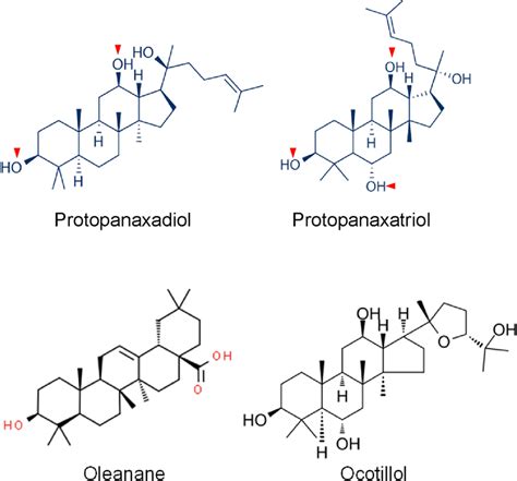 Classification Of Ginsenosides There Are Four Major Different Groups Download Scientific