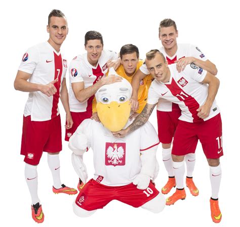 Search more high quality free transparent png images on pngkey.com and share it with your friends. Milik, Lewandowski, Szczesny, Grosicki, Piszczek football ...