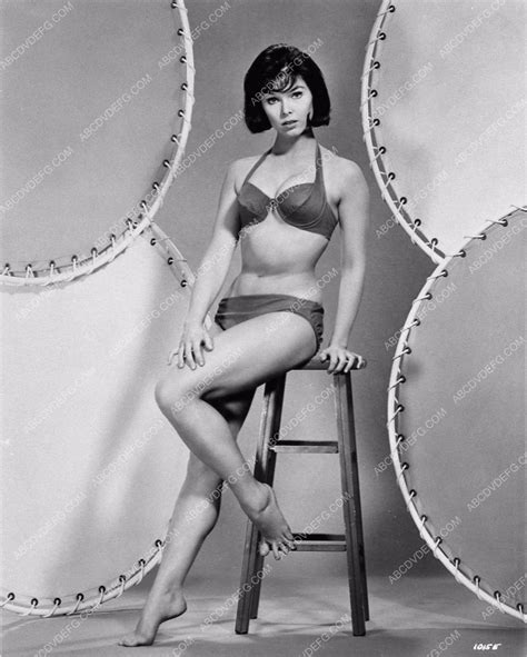 Yvonne Craig Sexy And Barefoot In Bikini Cheesecake Pinup 1507 20 Abcdvdvideo