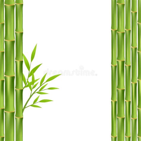 Bamboo Frame Stock Vector Illustration Of Natural Bamboo 68726825